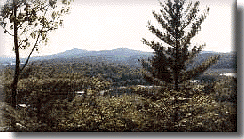 Mt. Pisgah land lots-Adirondack lands