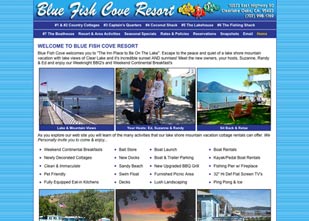 Enlarged view of image