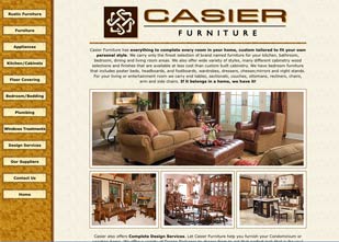 Enlarged view of image