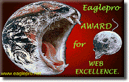 Internet provider, web designing