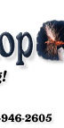 Adirondfack Fishing, adirondack trout fishing, Fly Fishing