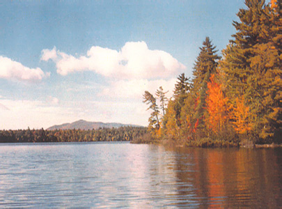 adirondack cottage rentals