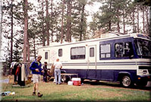 Enlarged view of image